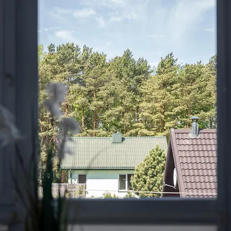Palanga Central